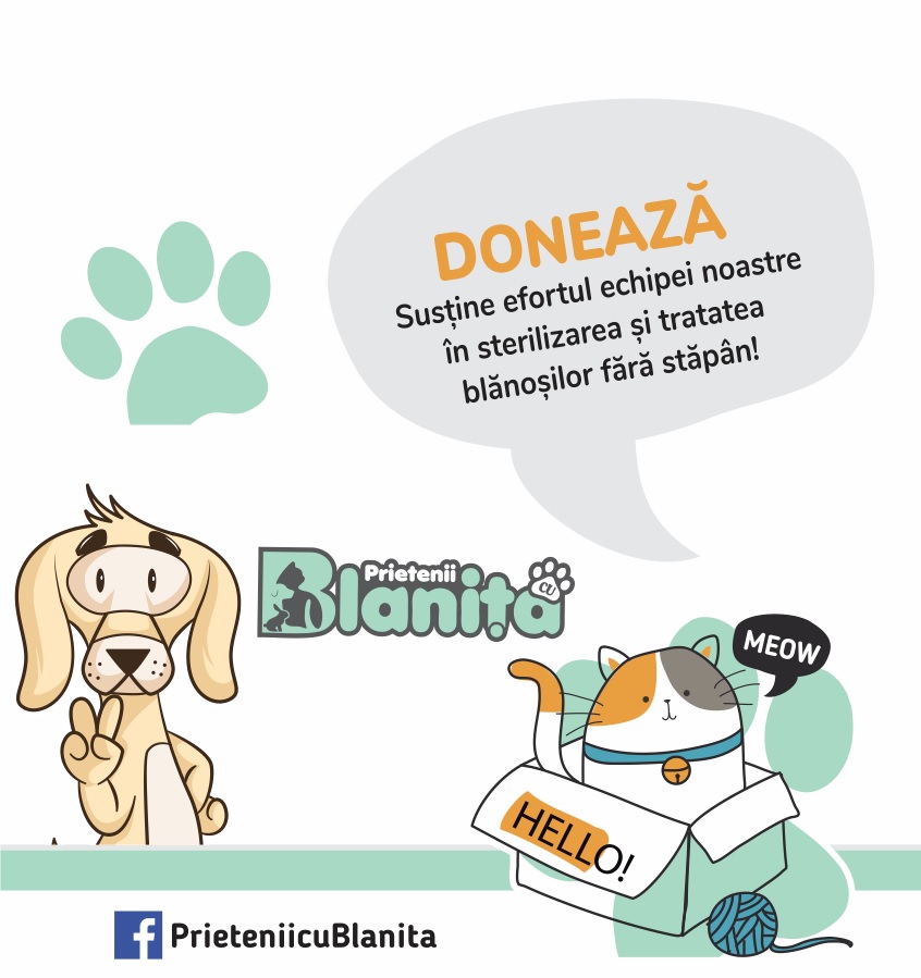 Donează pentru blănoși